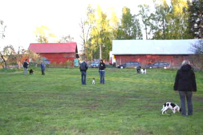 klickvt06093