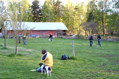 klickvt06094